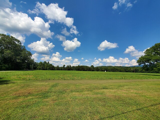 61243 Stone Cave Lp, Dunlap, TN 37327 - photo 36