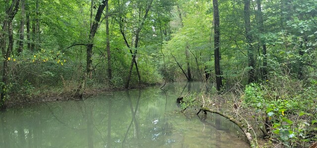 61243 Stone Cave Lp, Dunlap, TN 37327 - photo 42