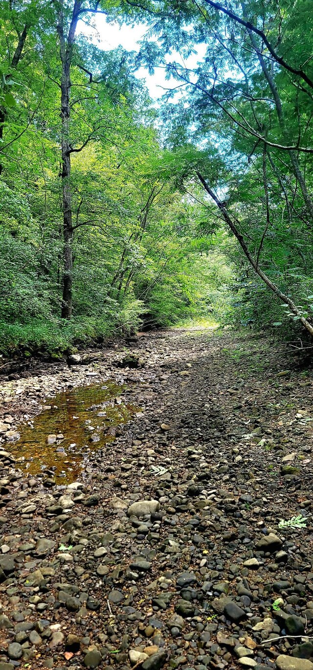 61243 Stone Cave Lp, Dunlap, TN 37327 - photo 46