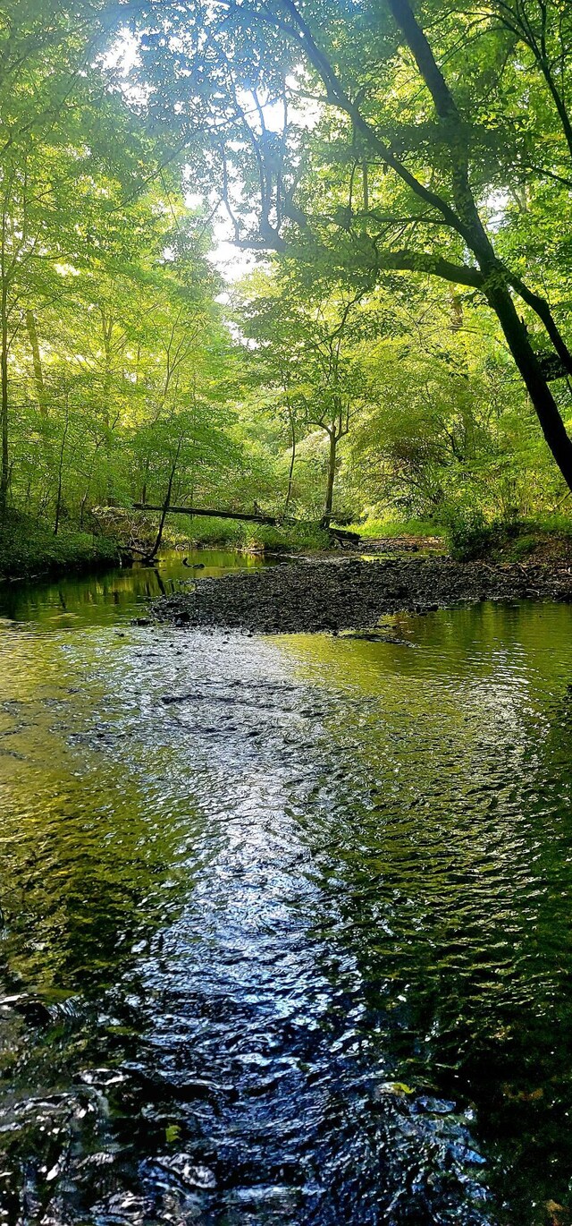 61243 Stone Cave Lp, Dunlap, TN 37327 - photo 50