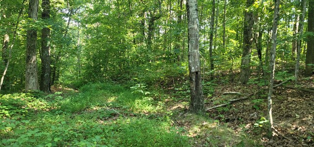 61243 Stone Cave Lp, Dunlap, TN 37327 - photo 55