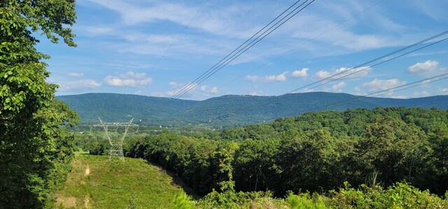 61243 Stone Cave Lp, Dunlap, TN 37327 - photo 58
