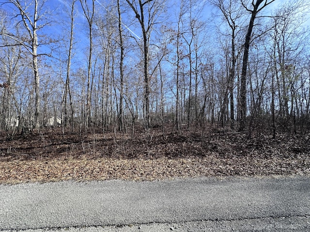 Listing photo 3 for 0 Tama # 9, Crossville TN 38572