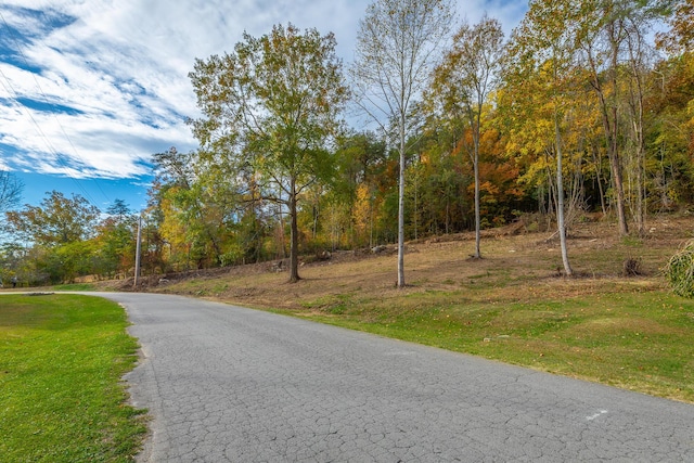 0 Asher St, Jasper, TN 37347