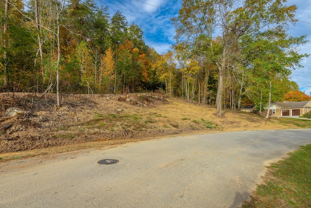 0 Asher St, Jasper, TN 37347