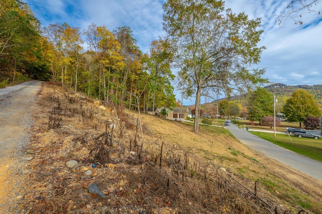 0 Asher St, Jasper, TN 37347