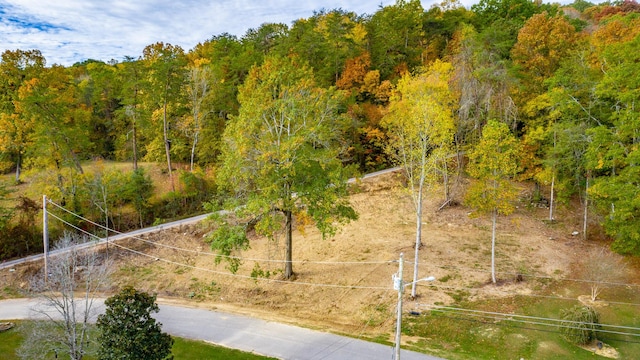 0 Asher St, Jasper, TN 37347