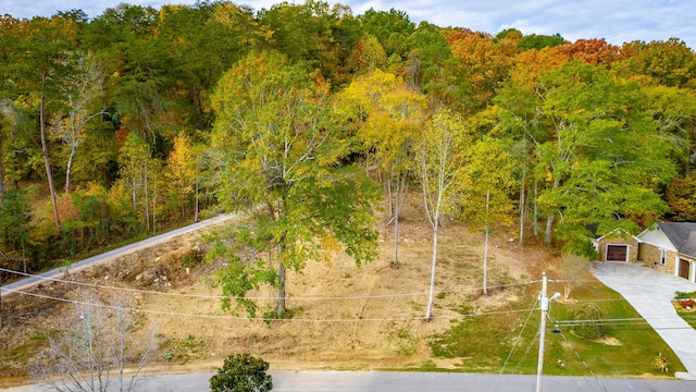 0 Asher St, Jasper, TN 37347