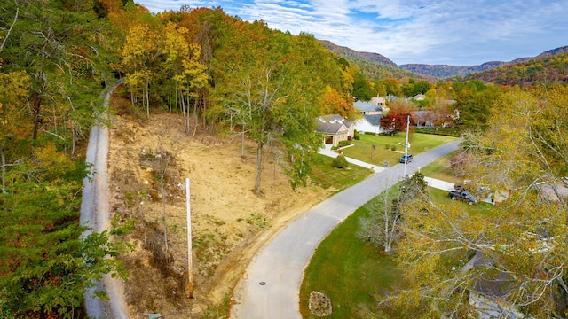 0 Asher St, Jasper, TN 37347