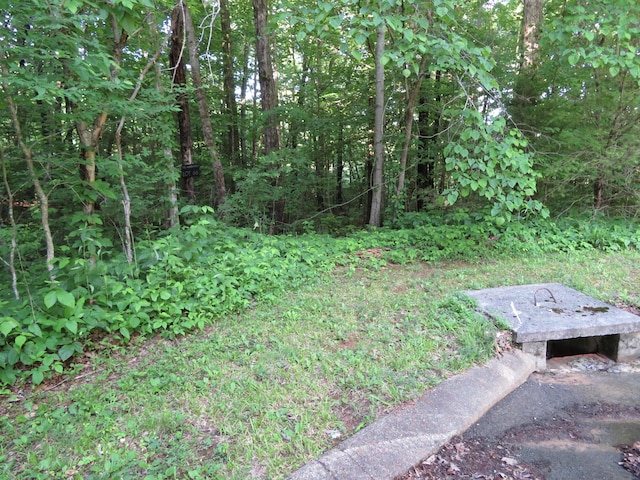 66 Golf Villa Dr, Dunlap, TN 37327 - photo 1