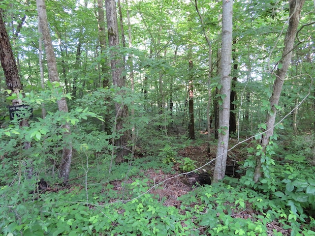 66 Golf Villa Dr, Dunlap, TN 37327 - photo 3