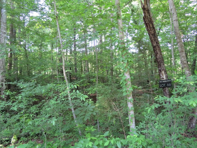 66 Golf Villa Dr, Dunlap, TN 37327 - photo 4