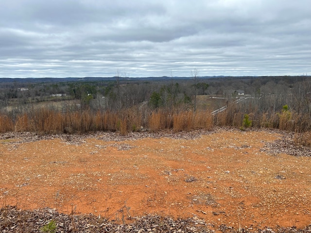 0 E Emerson Rd, Cohutta GA, 30710 land for sale