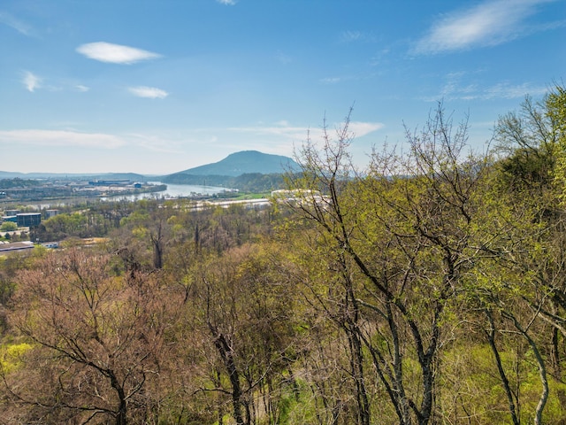 195 Whitehall Rd, Chattanooga TN, 37405 land for sale