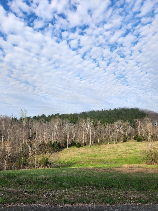 0 Mill Dr Unit 7, Decatur TN, 37322 land for sale