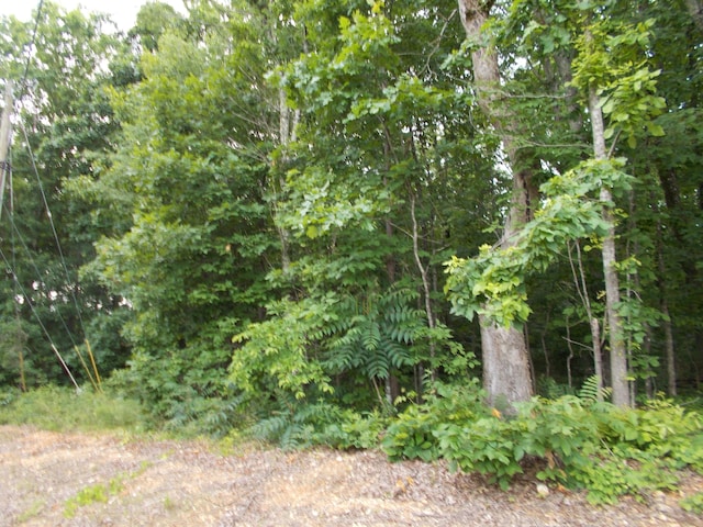 0000 Lee Pike, Soddy Daisy, TN 37379 - photo 4