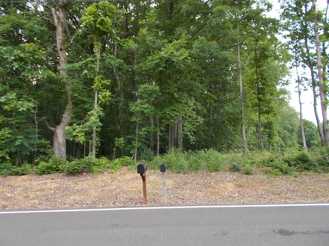 0000 Lee Pike, Soddy Daisy, TN 37379 - photo 7