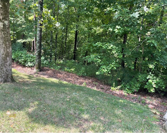 6901 River Run Dr, Chattanooga TN, 37416 land for sale