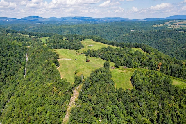 148 Lynn Roberts Ln, Spring City TN, 37381 land for sale