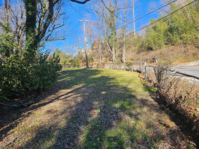 Listing photo 3 for 0 Navajo Dr, Chattanooga TN 37411