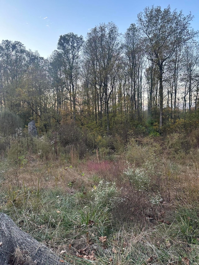 LOT7 Lake Forest Dr, Birchwood TN, 37308 land for sale