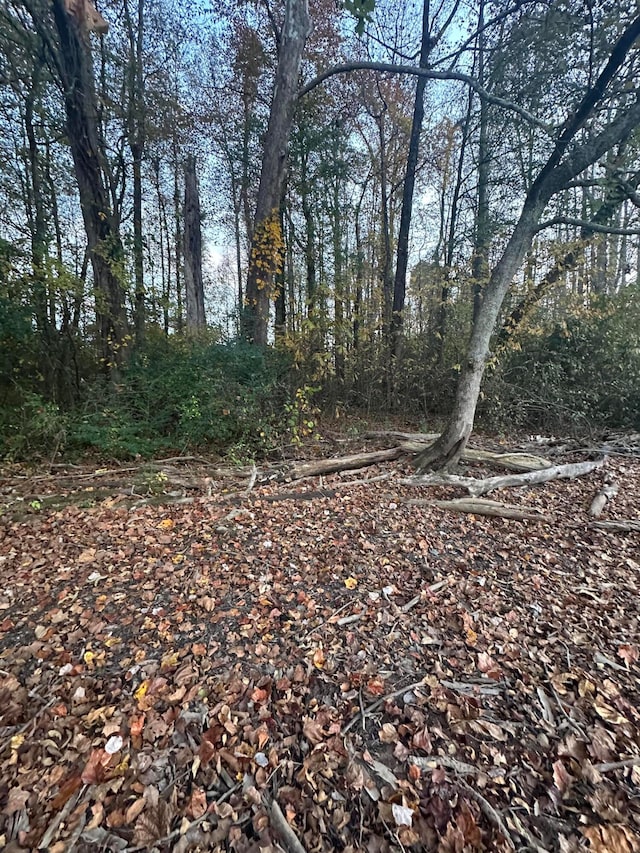 Listing photo 2 for LOT7 Lake Forest Dr, Birchwood TN 37308