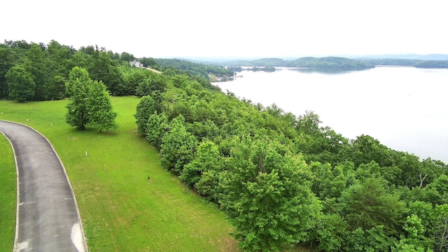 295 River Run Trl, Spring City TN, 37381 land for sale