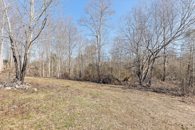 Listing photo 2 for TractB County Road 784, Ider AL 35981