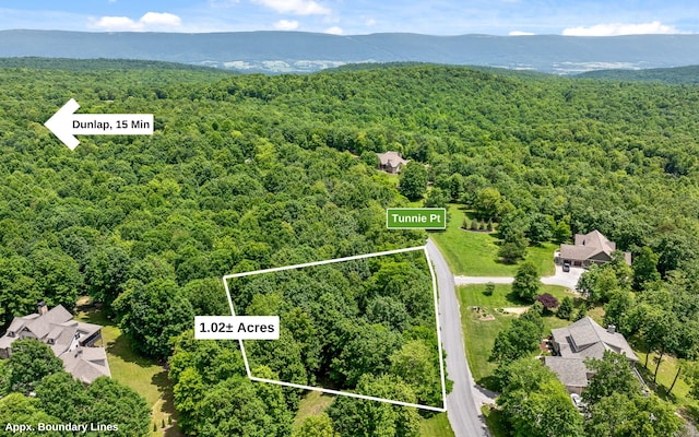 Listing photo 3 for LOT221 Tunnie Pt, Dunlap TN 37327