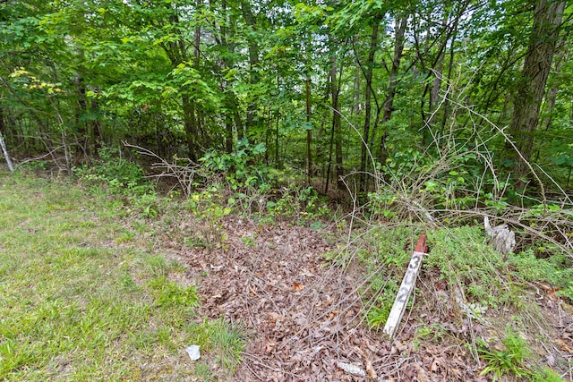 Listing photo 3 for 0 Timberwood Trce Unit 302, Monteagle TN 37356