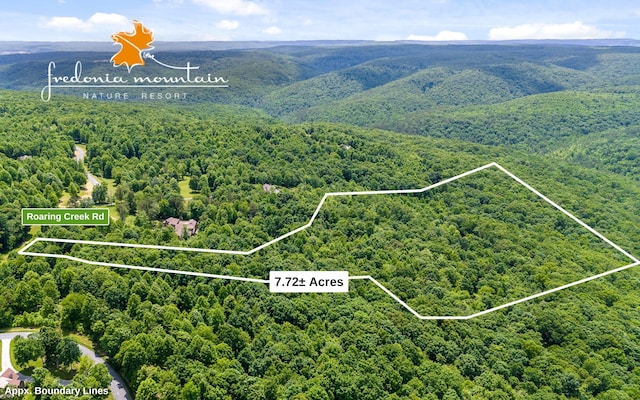 LOT291 Roaring Creek Rd, Dunlap TN, 37327 land for sale