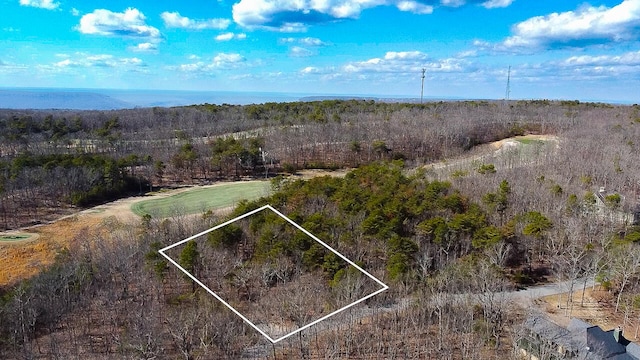 Listing photo 3 for I-3 Old Rocky Trl, Rising Fawn GA 30738