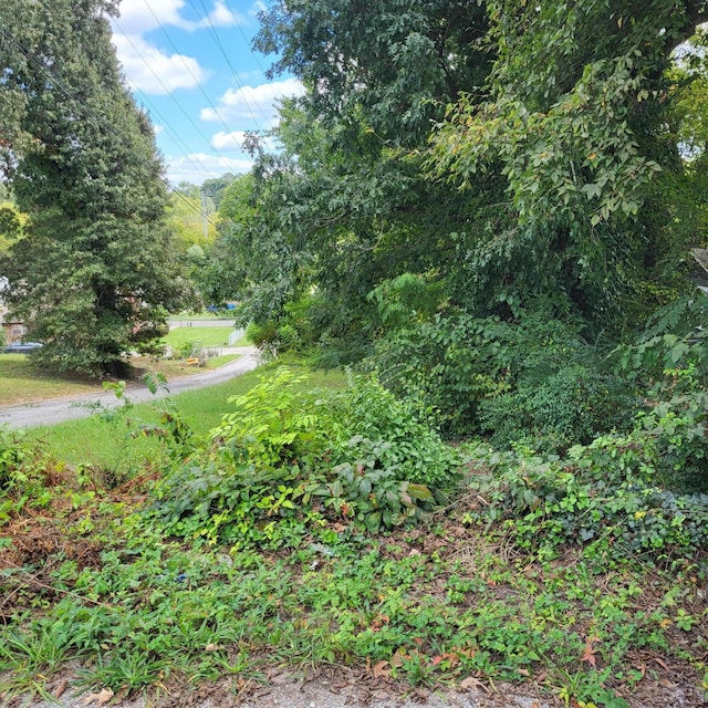 1116 Jarvis Ave, Chattanooga TN, 37411 land for sale