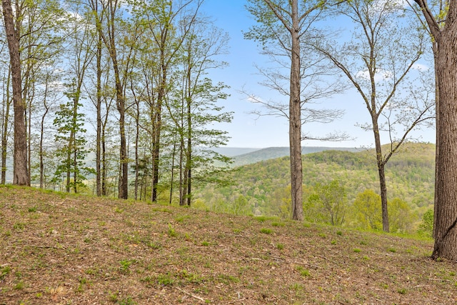 0 Volunteer St Unit Jf363, Jasper TN, 37347 land for sale