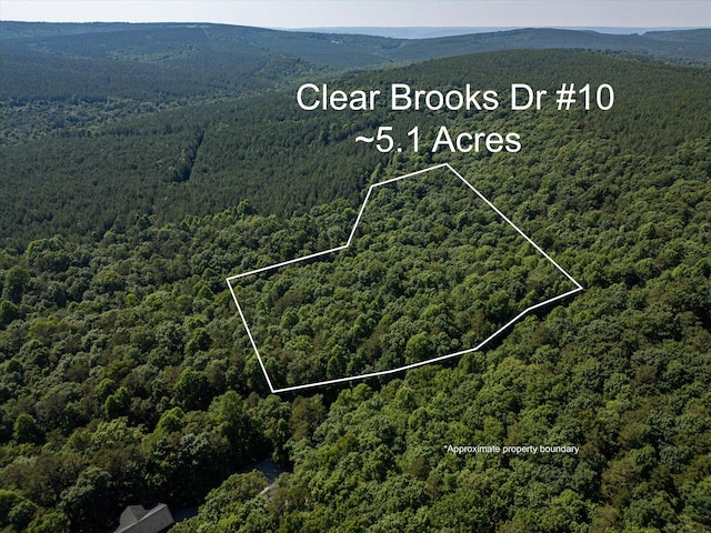 0 Clear Brooks Dr Unit 10, Signal Mountain TN, 37377 land for sale