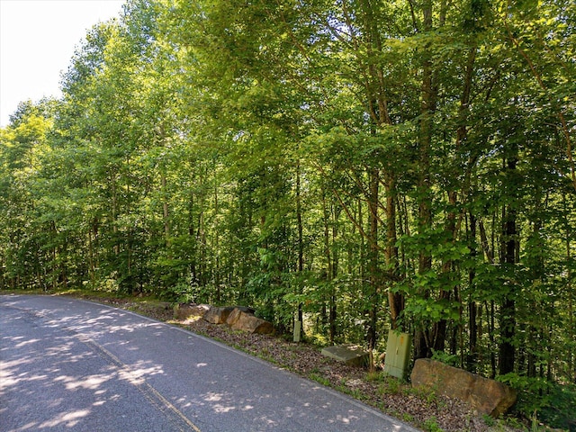 Listing photo 3 for 0 Clear Brooks Dr Unit 10, Signal Mountain TN 37377