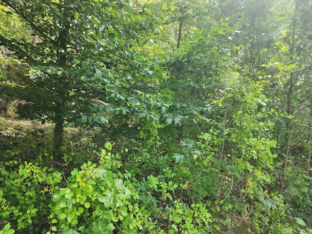 Listing photo 3 for 25.2ACRES Spring City Hwy, Rockwood TN 37854