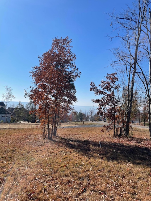 Listing photo 2 for 0 Sunrise Cir Unit 25, Jasper TN 37347