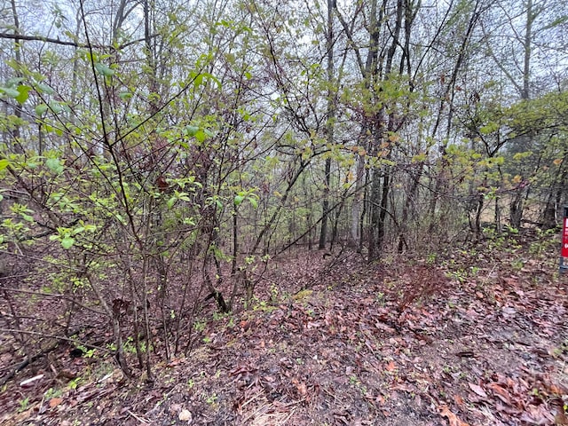 0 Cedar Ln Unit 42, Spring City TN, 37381 land for sale