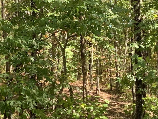 225 Prospectors Way Unit Rb-223, Jasper, TN 37347 - photo 28