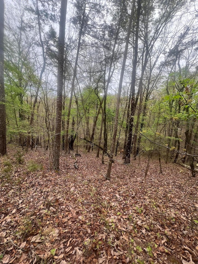 Listing photo 3 for 11734 Armstrong Rd, Soddy Daisy TN 37379