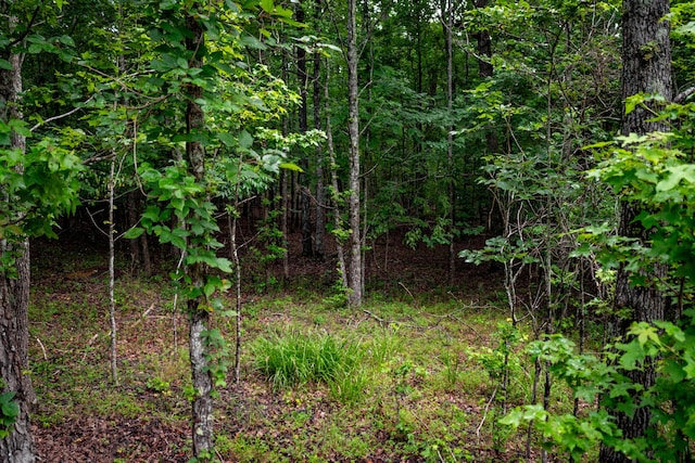 00 Jackson Point Rd Unit 16, Sewanee, TN 37375 - photo 11