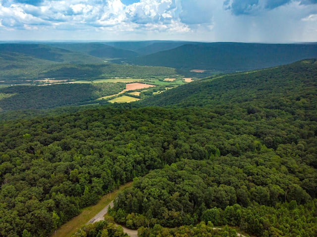 00 Jackson Point Rd Unit 16, Sewanee, TN 37375 - photo 14