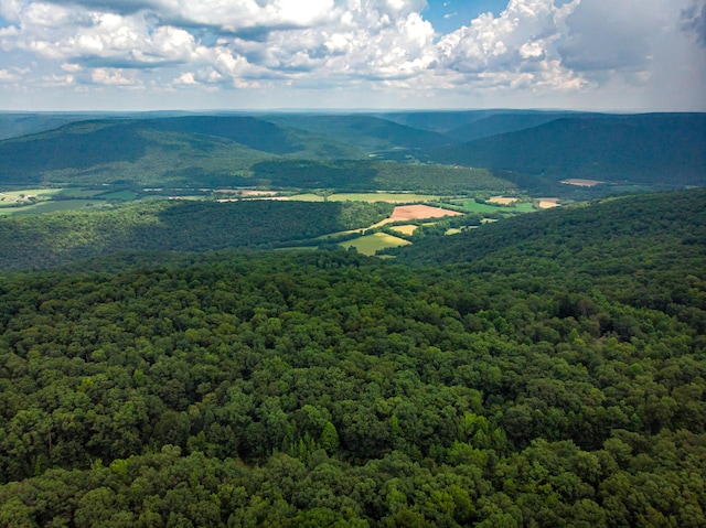 00 Jackson Point Rd Unit 16, Sewanee, TN 37375 - photo 2