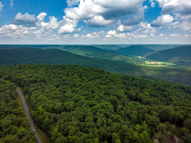 00 Jackson Point Rd Unit 16, Sewanee, TN 37375 - photo 15