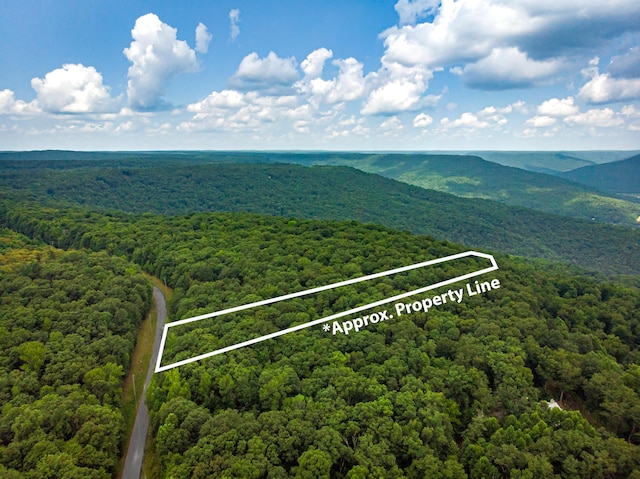00 Jackson Point Rd Unit 16, Sewanee, TN 37375 - photo 4