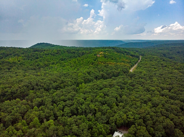 00 Jackson Point Rd Unit 16, Sewanee, TN 37375 - photo 1