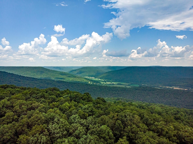 00 Jackson Point Rd Unit 16, Sewanee, TN 37375 - photo 17