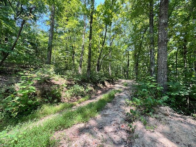 348 Baggett Rd, Ringgold, GA 30736 - photo 12