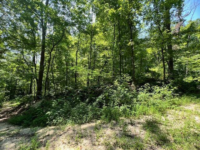 348 Baggett Rd, Ringgold, GA 30736 - photo 13
